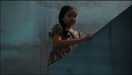 Binddii - 7th October 2025